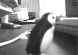 Webcam dans mon Bureau